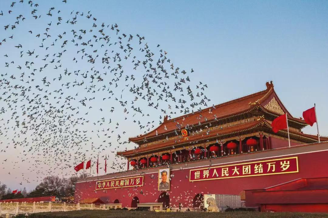 66ea3e3eb925f.jpg 66ea3e3eb925f.jpg